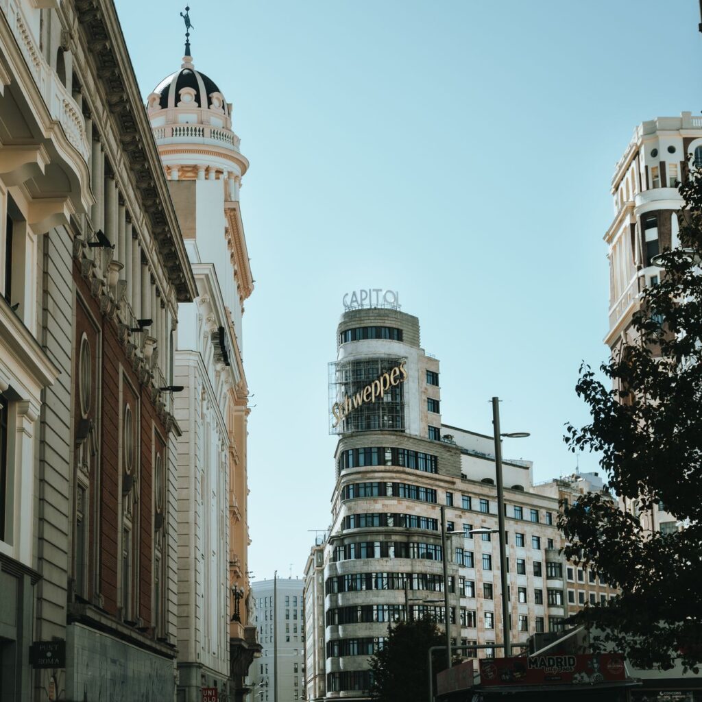 Comparativa de seguros de vida: opciones en línea vs. tradicionales 1 pexels photo 22065482